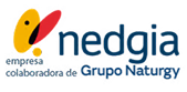 Logotipo de Nedgia, partner oficial de Tecnics BCN SAT en redes de gas de Barcelona